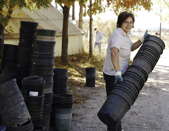 woman-volunteer-service-buckets-1622199-gallery